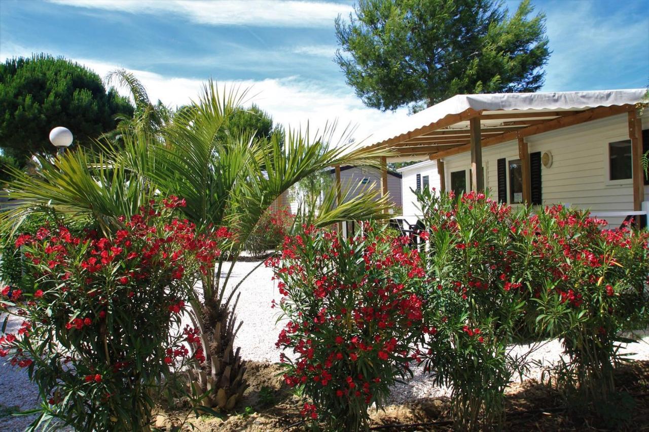 Camping Del Mar 10, Mobil Home Petit Paradis, 6 Personnes, Bord De Mer, Camping Del Mar Village Аржеле-сюр-Мер Екстер'єр фото